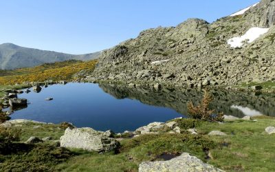 Nuevas reservas naturales propuestas en España